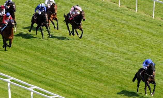Betfair horse racing nj Betfair horse racing nj