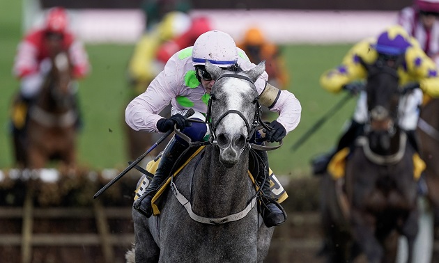 Cheltenham news