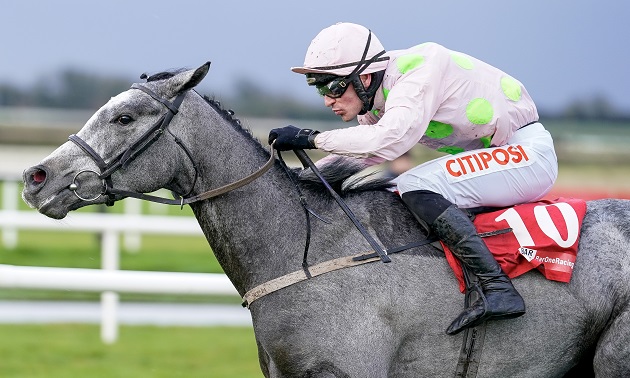 Cheltenham news