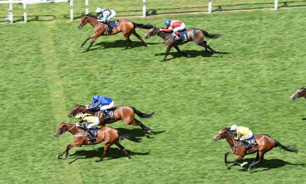 royal ascot tips