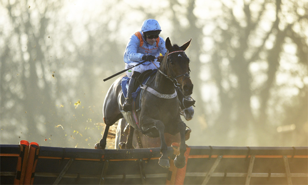 Cheltenham news