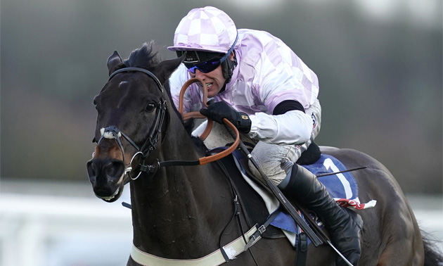 cheltenham tips