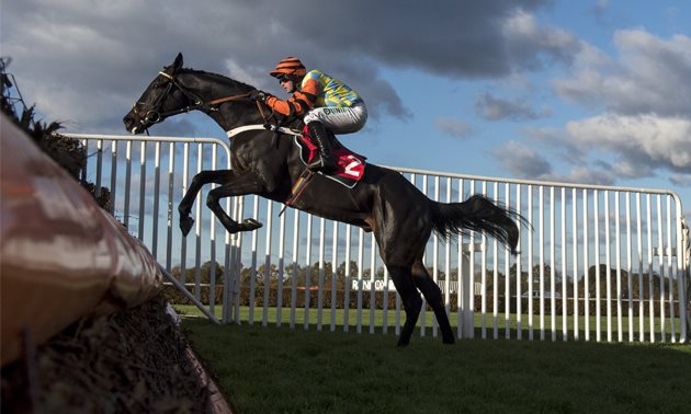 Huntingdon and Aintree options for Might Bite return | Might Bite Future Entries - Timeform