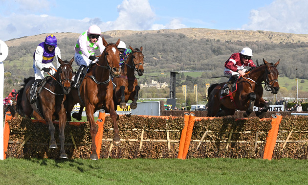 Cheltenham news