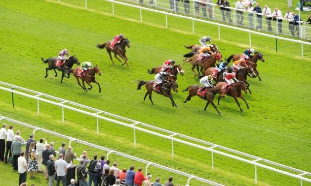 royal ascot news
