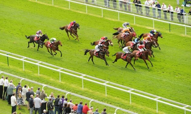 royal ascot tips