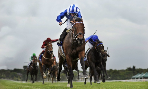 Best Free Horse Racing Tips Best Free Horse Racing Tips