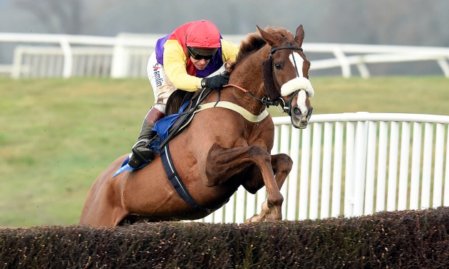 cheltenham tips