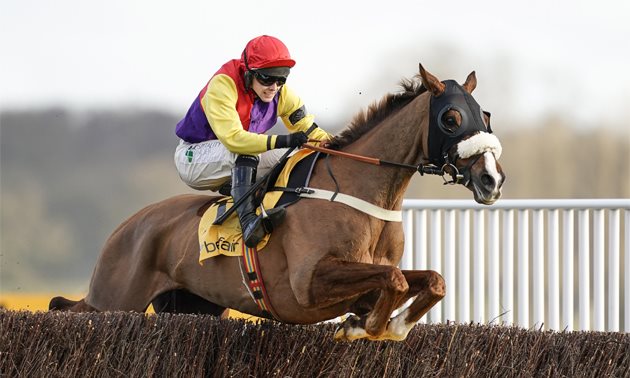 Grand National News