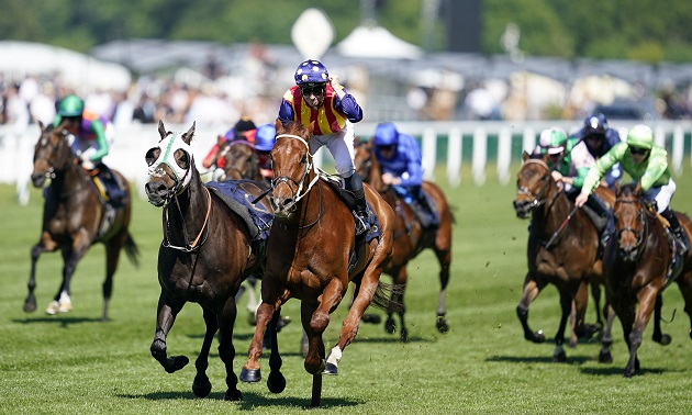 Royal Ascot news