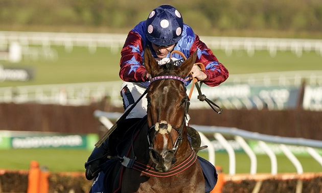 Cheltenham news