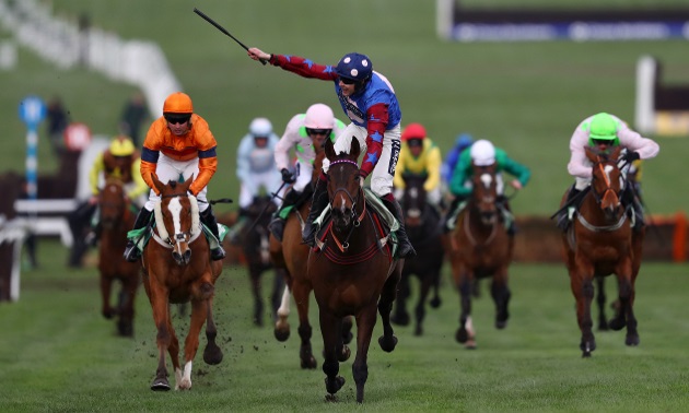 cheltenham tips