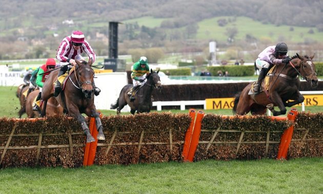 cheltenham news
