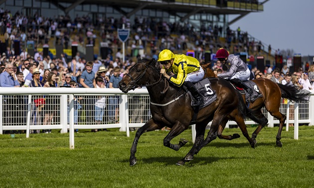 Royal Ascot news