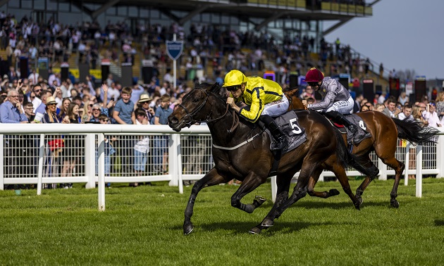 royal ascot tips