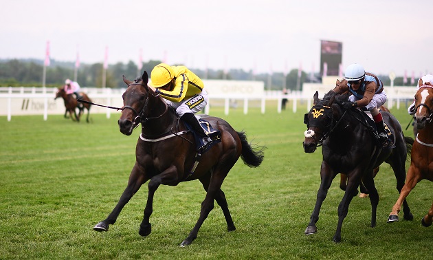 royal ascot tips