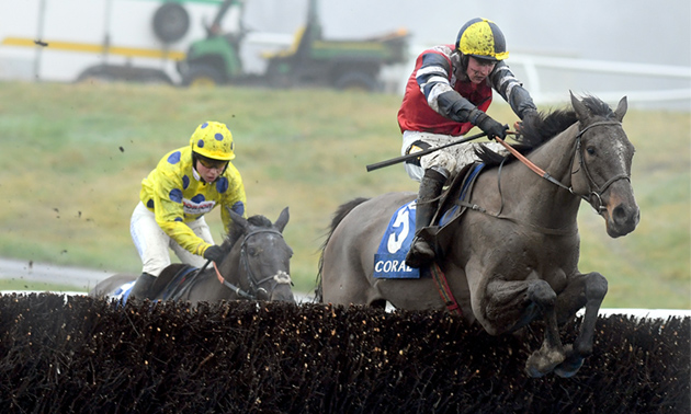 Grand National News