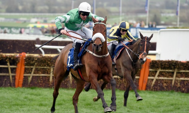 Image result for presenting percy horse