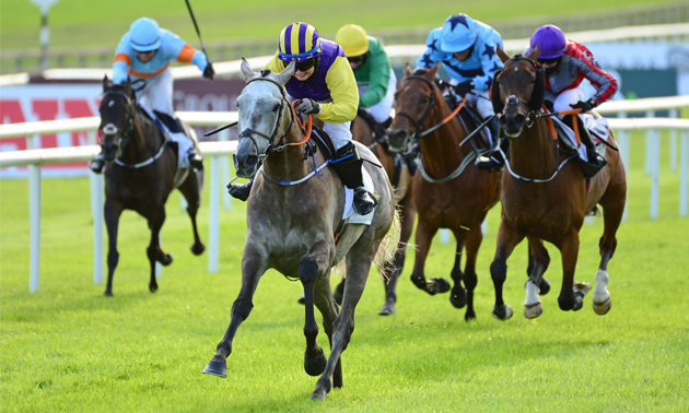 Cheltenham news