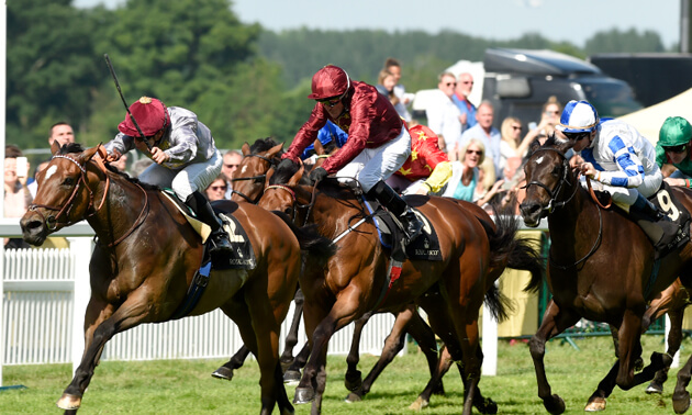 Royal Ascot news