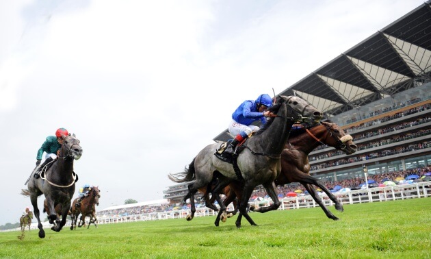 Royal Ascot news