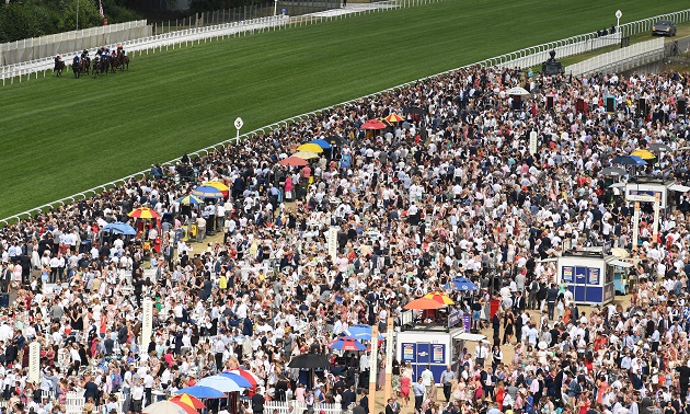 Royal Ascot news