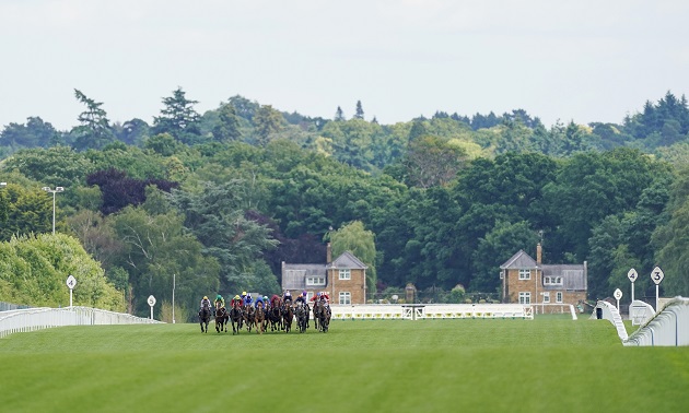 Royal Ascot news