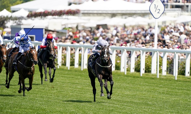 Royal Ascot news