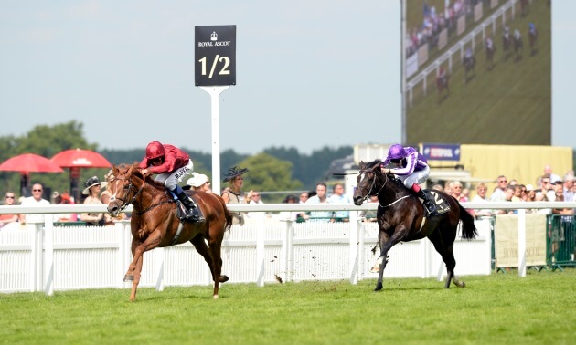 Royal Ascot news