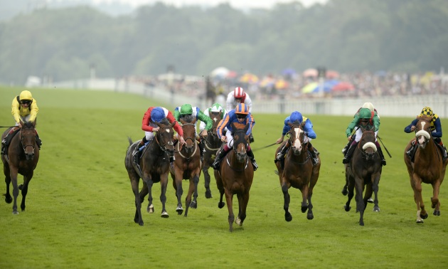 royal ascot tips