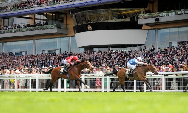 royal ascot news