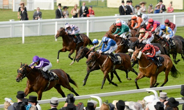 royal ascot tips