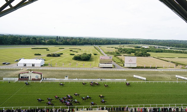 Royal Ascot news