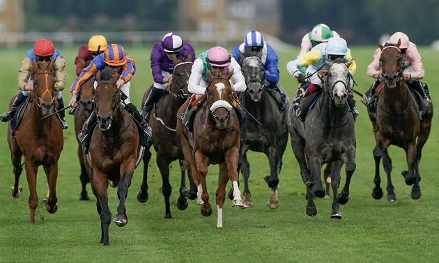 Royal Ascot news