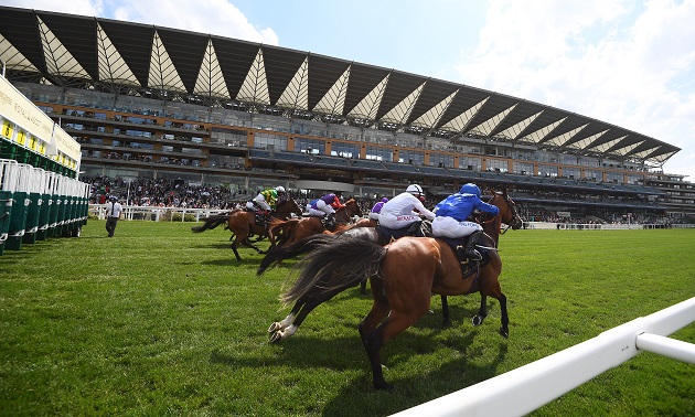 Royal Ascot news