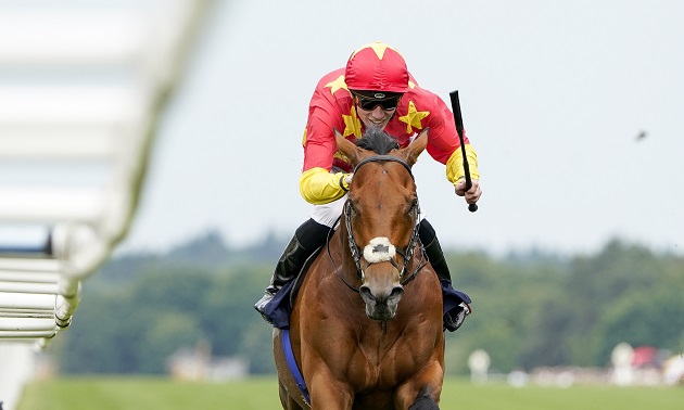 Royal Ascot news
