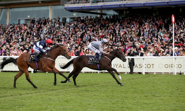 Royal Ascot news