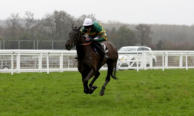 cheltenham tips