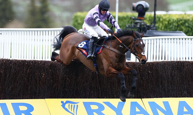 Cheltenham news