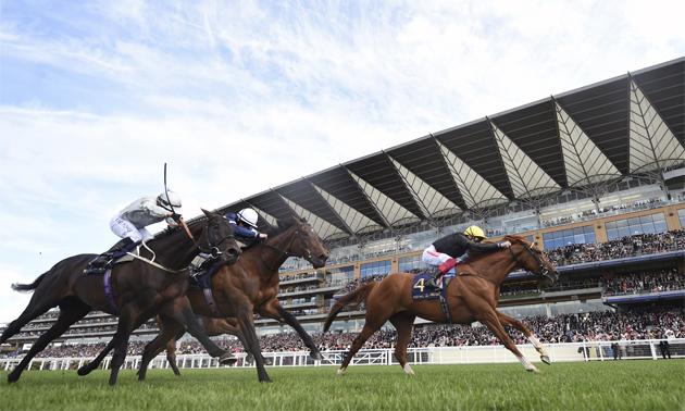 Royal Ascot news