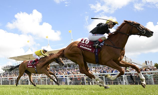 royal ascot tips