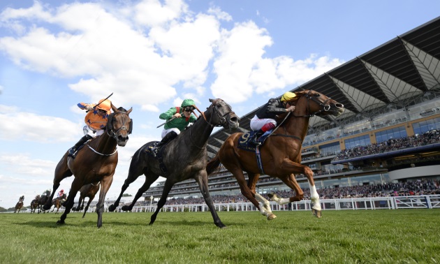 Royal Ascot news