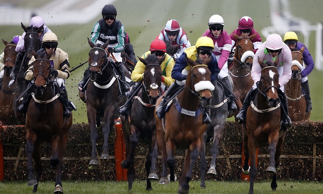 Cheltenham news