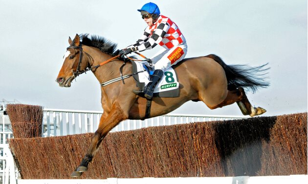 Free Horse Tips For Today Free Horse Tips For Today
