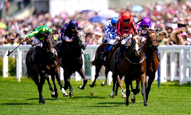 Royal Ascot news