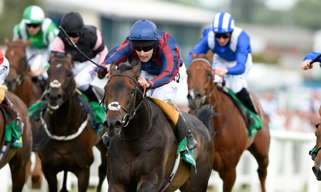 royal ascot news