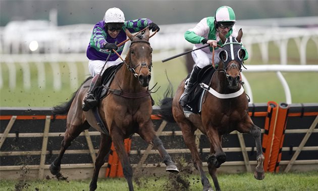 cheltenham tips