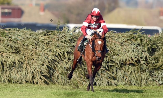 Grand National News