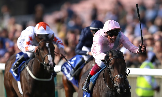 Image result for horse race betting market ruler
