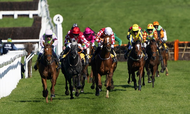 Cheltenham Tips | Horse Racing Tips for the Cheltenham Festival